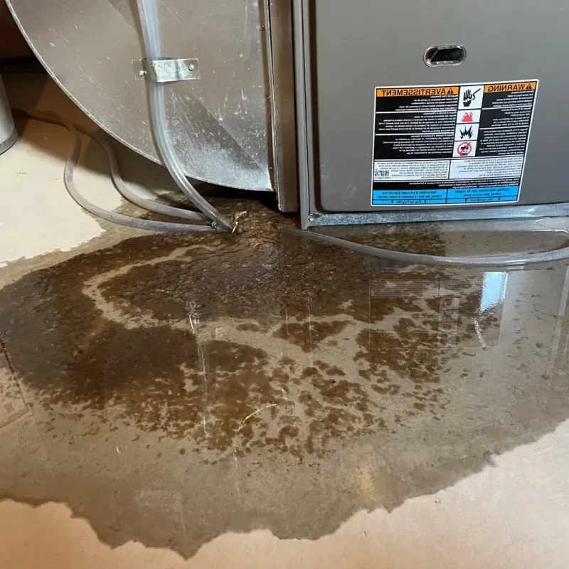 Pipe Burst and Leak Restoration in Lee County, KY