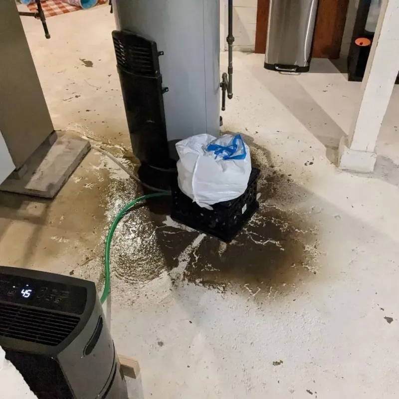 Sewage Backup Cleanup Service in Lee County, KY